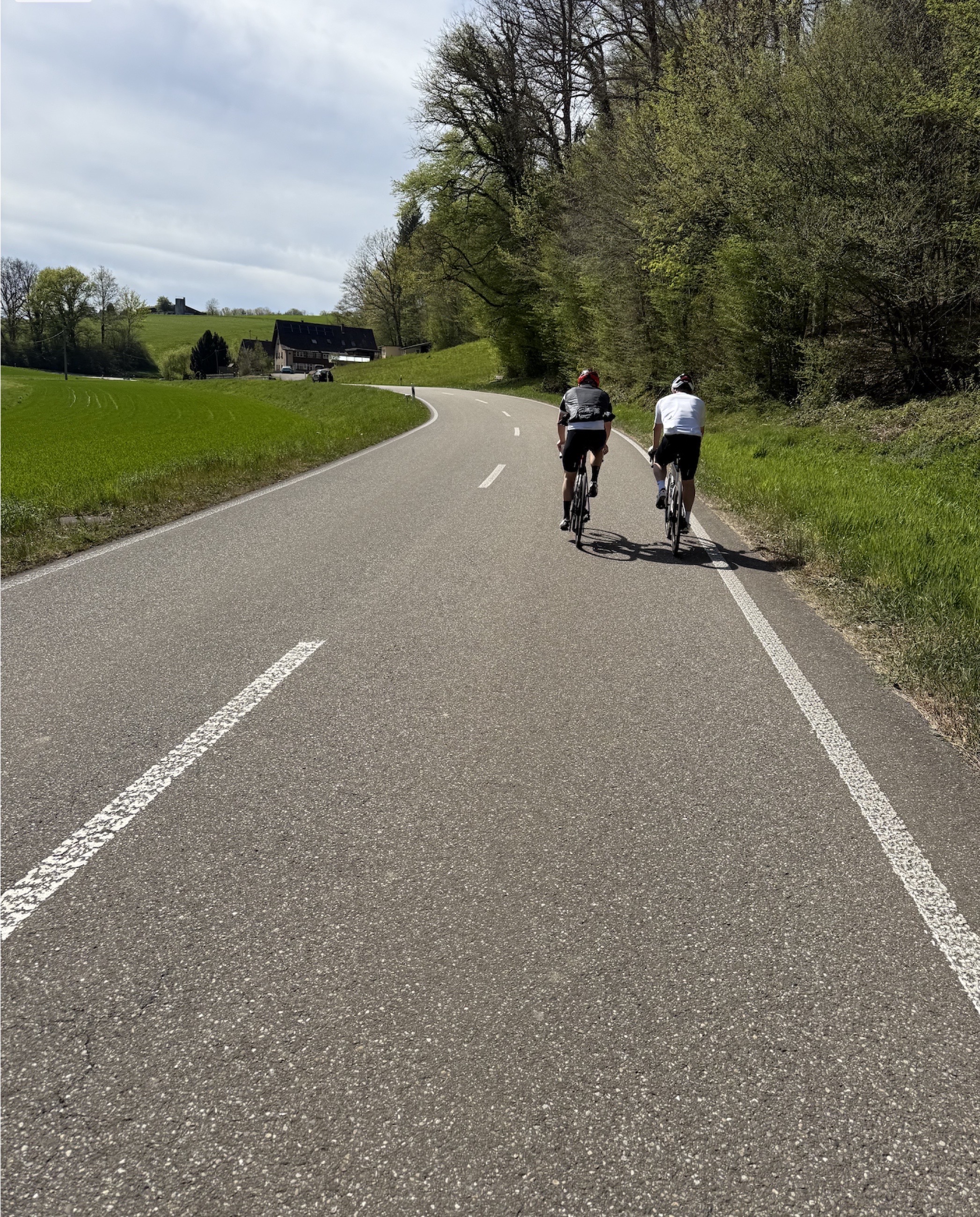 Two road cyclists riding through a Black Forest valley road